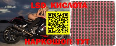 PSILOCYBIN Обь