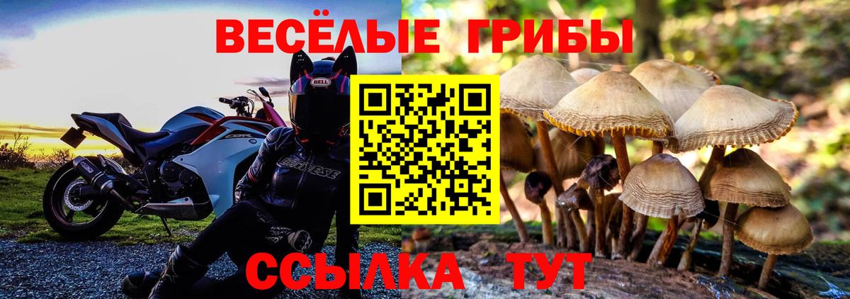 Псилоцибиновые грибы Cubensis  Вход с VPN  Партизанск  Галлюциногенные грибы GOLDEN TEACHER 
